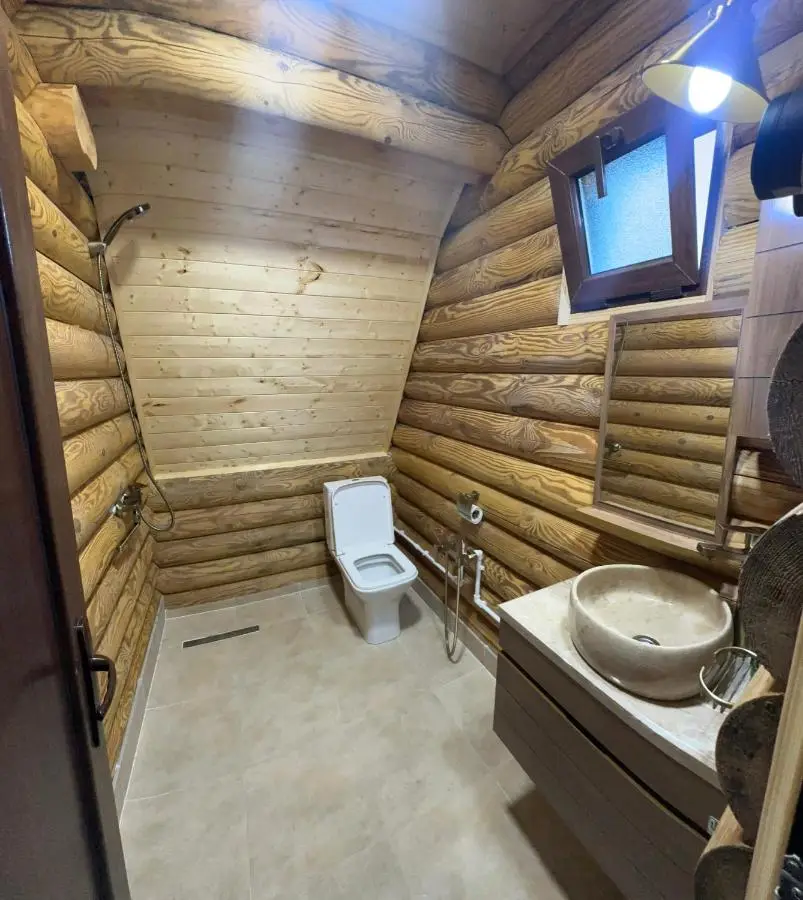 VIP-comfort BORJOMI