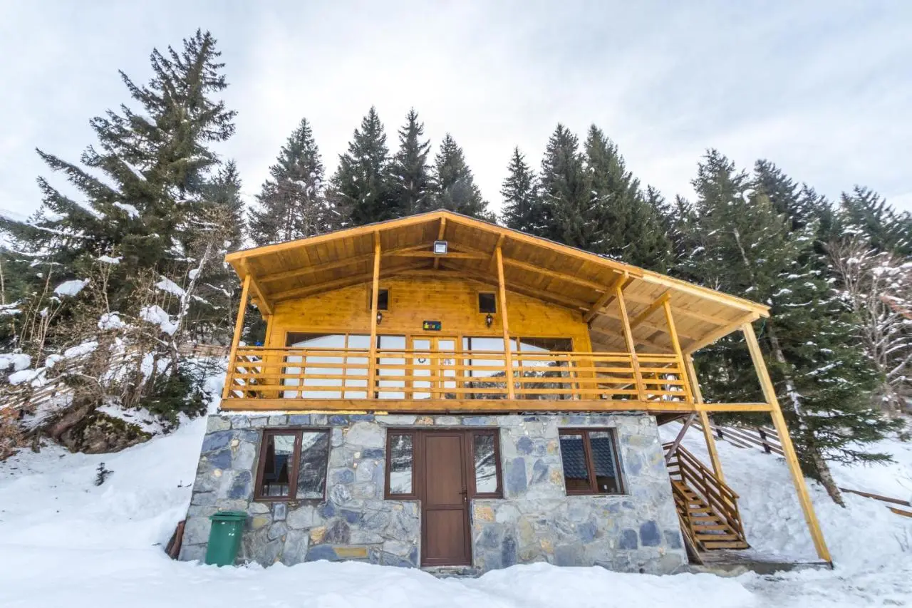 Mountain Cabins