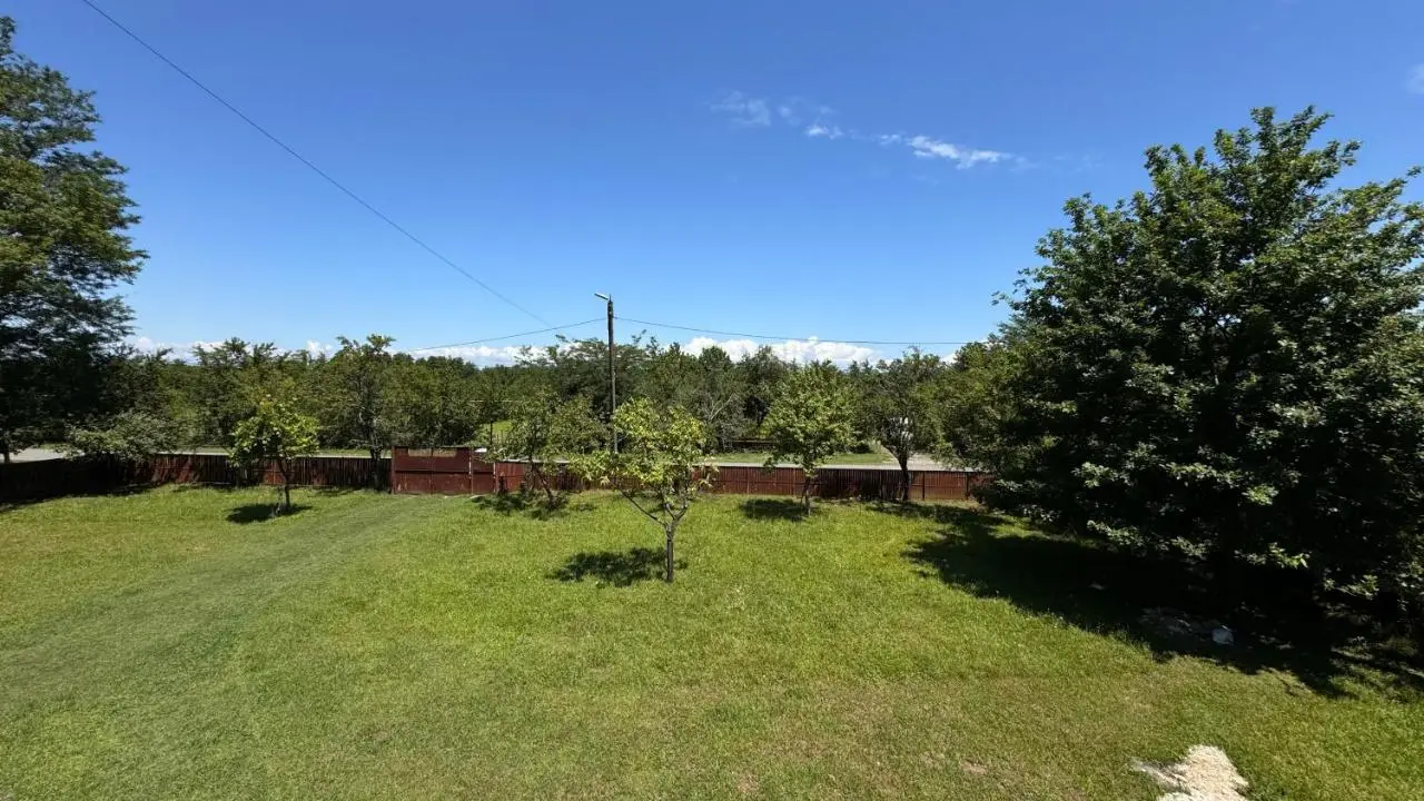 House in the forest
