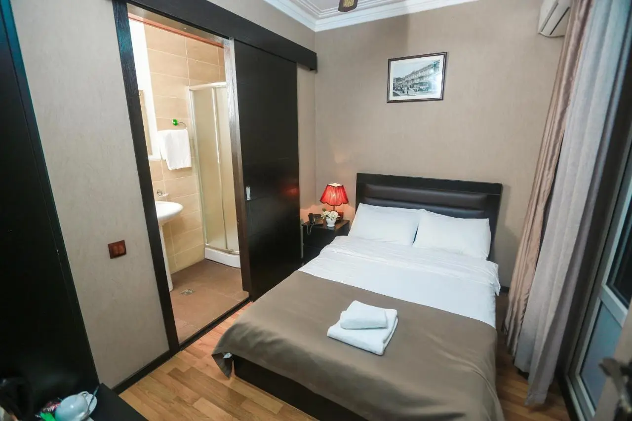 Hotel New Metekhi