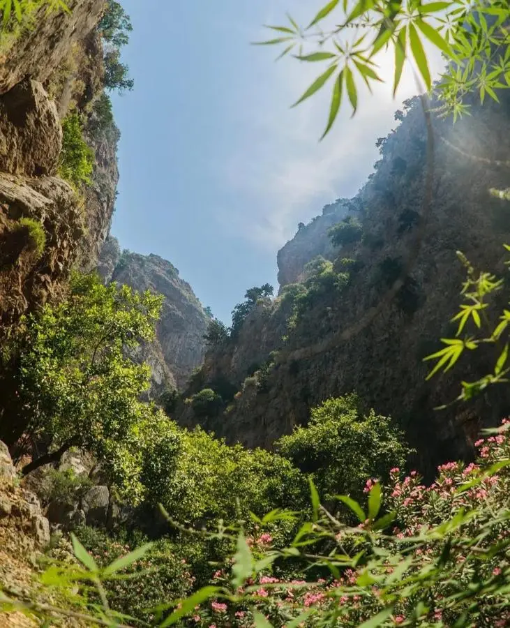 Butterfly Valley Seaside Glamping