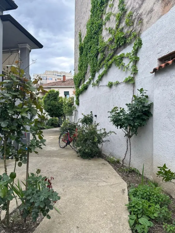 Green House