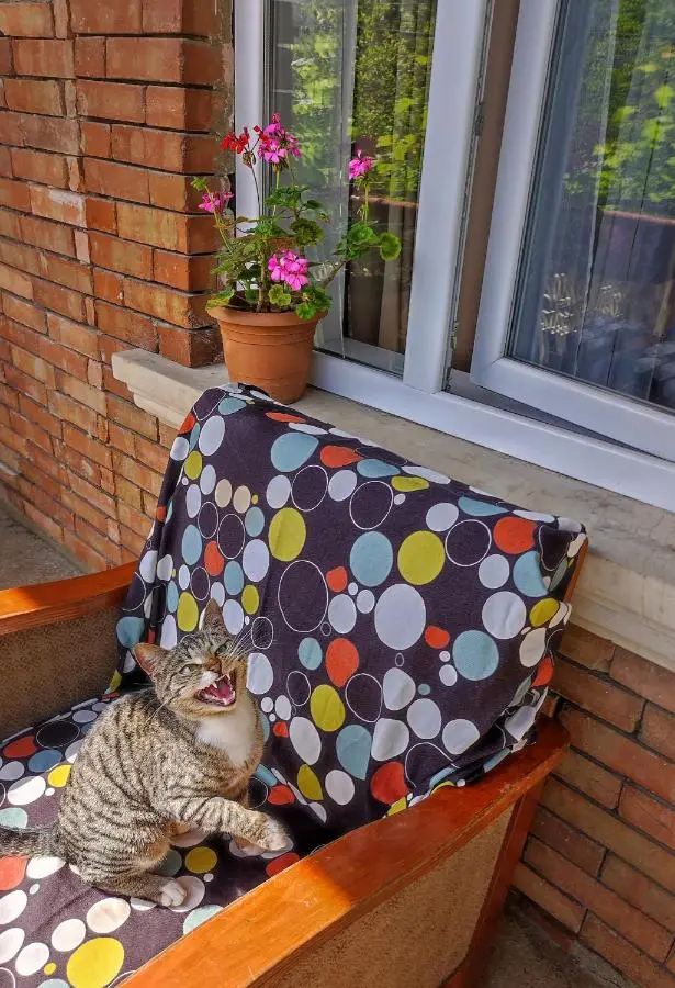 Friendly Guest House