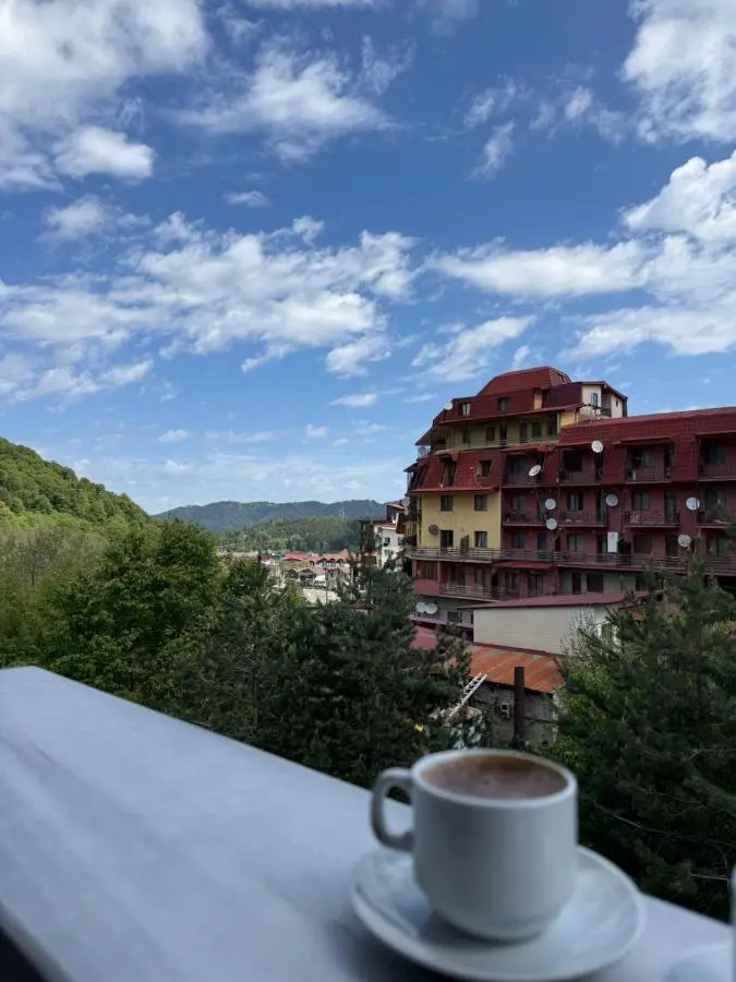 David APT on Bakuriani Orbi Palace