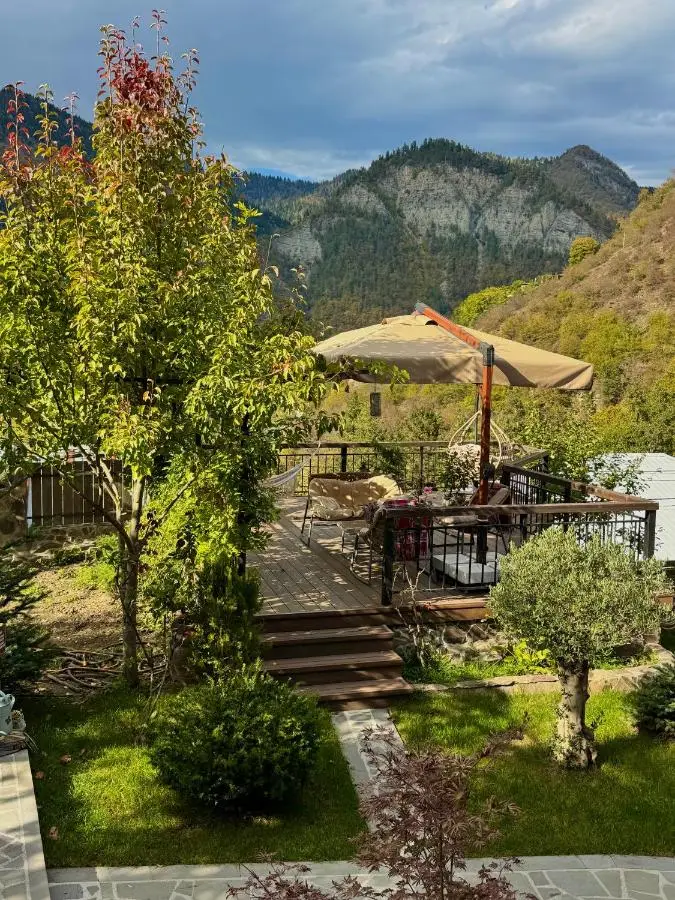 Hotel Borjomi Verde