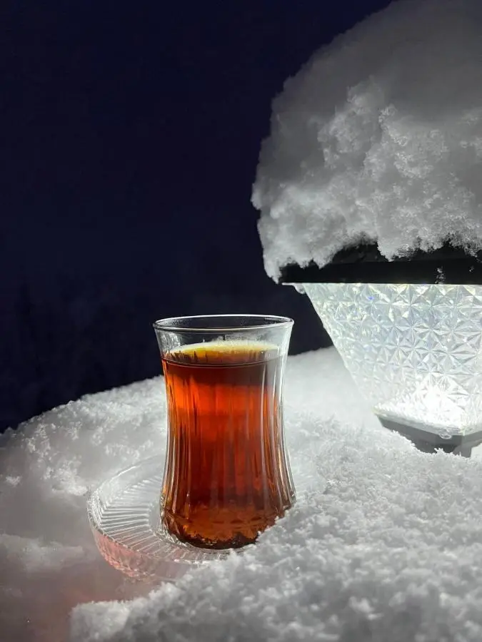 Kayabaşı bungolov