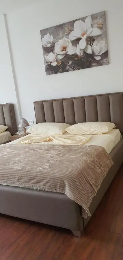 City Center Apartment