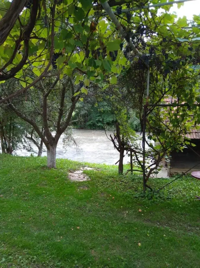 Studio by the river