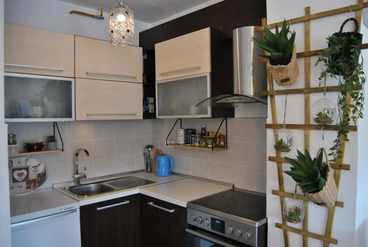 Apartment Vucko