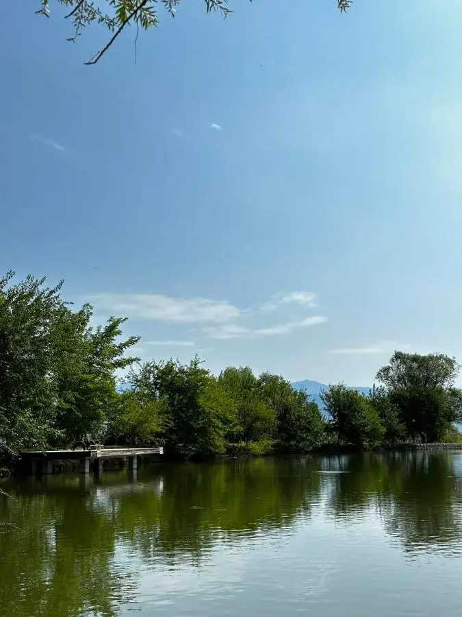 7 Lakes