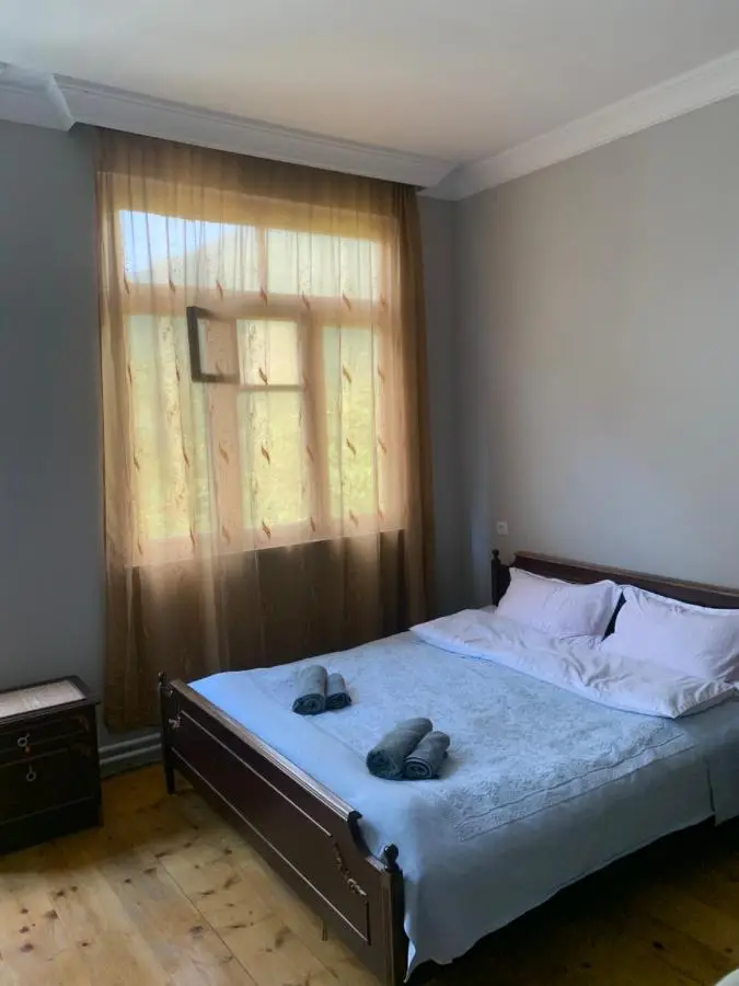 Panorama ananuri guest house
