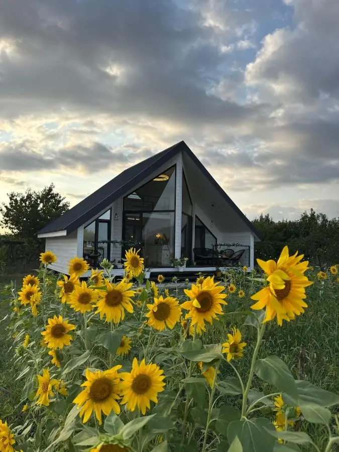 Yellow House Natakhtari