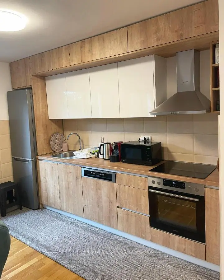 Montis Vlasic Apartment 1