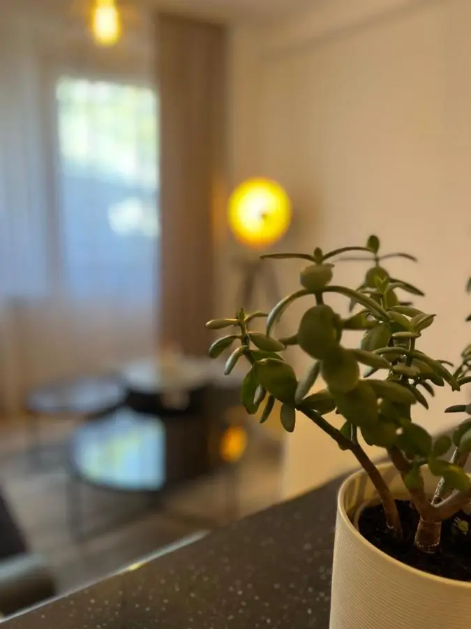 Apartment President