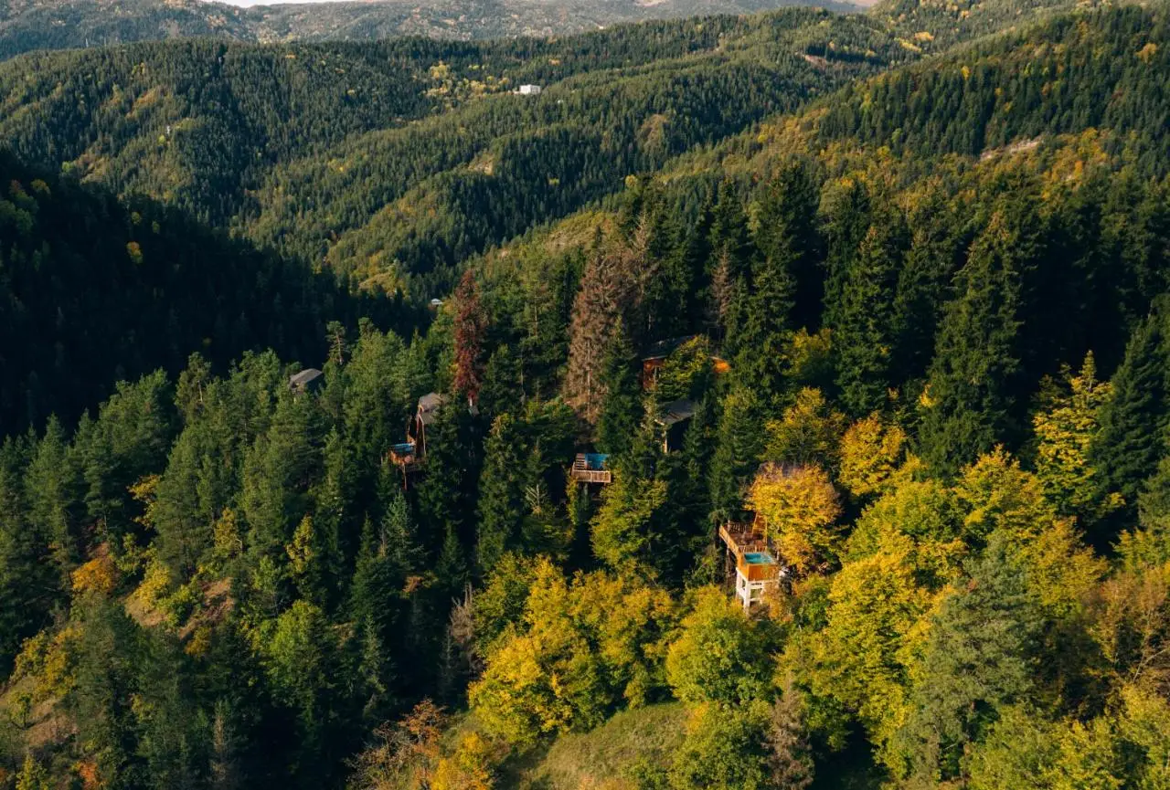 Cottage Galileo in Abastumani