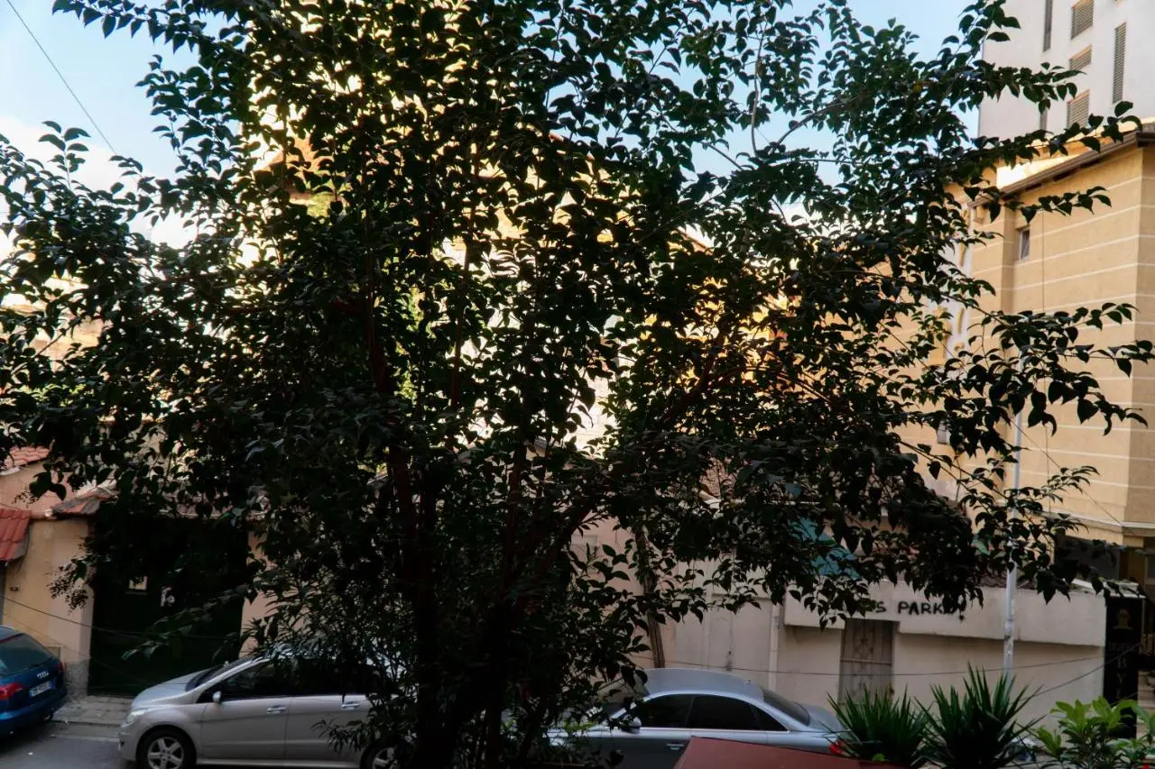 Signature apartment 8