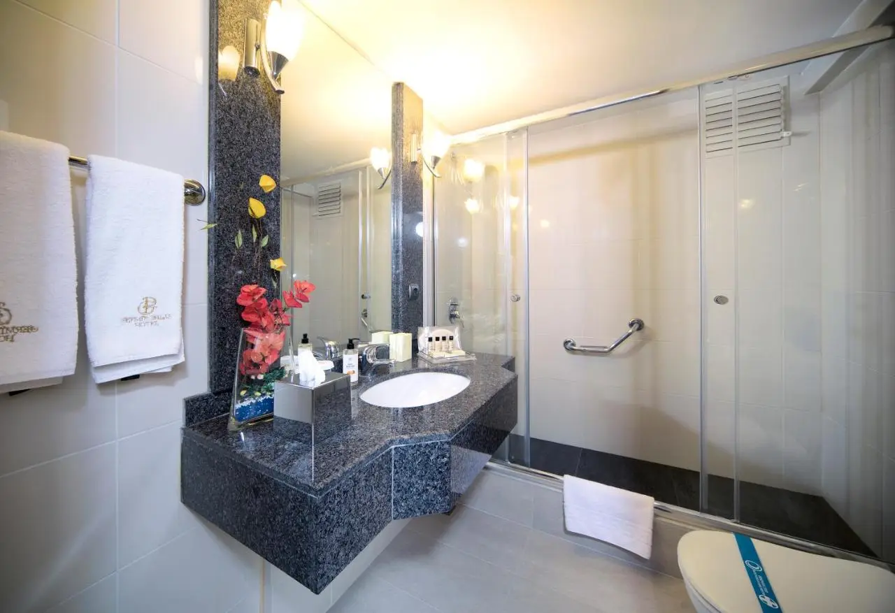 Germir Palas Hotel - Special Class