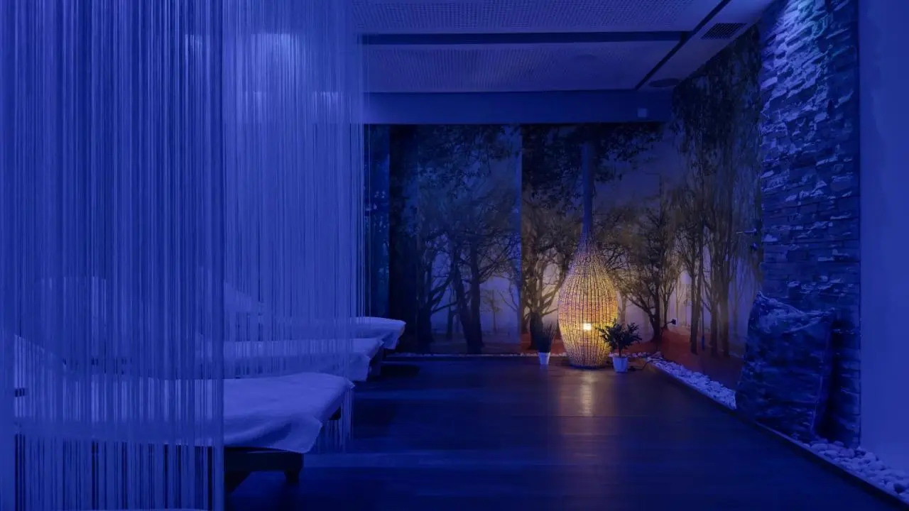 Hotel Central Sarajevo - Gym, Pool & Spa