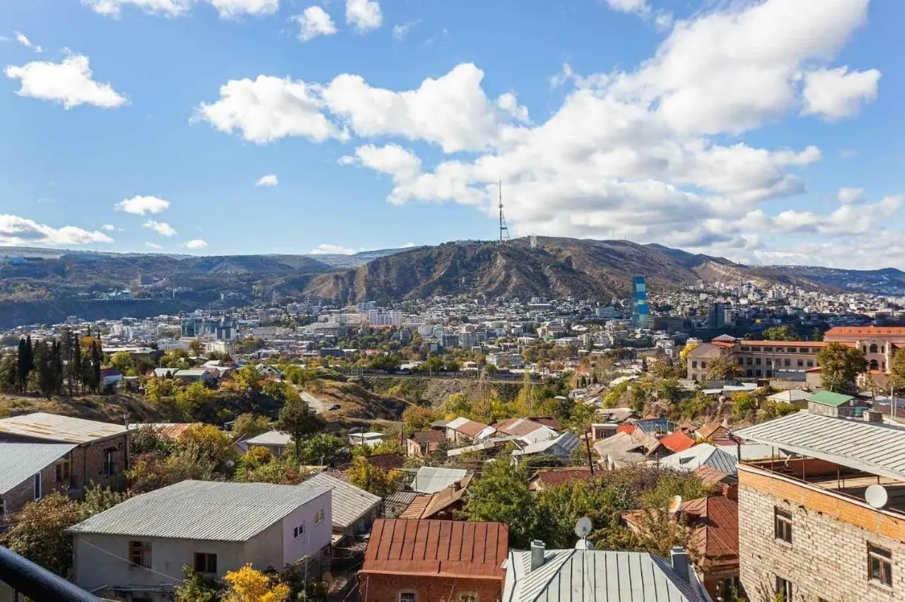 Luxury Apartment Aspindza 13
