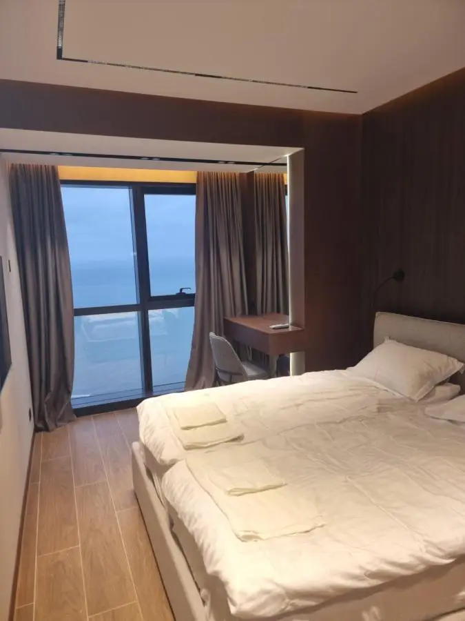 Premium apartment in Porta Batumi Tower