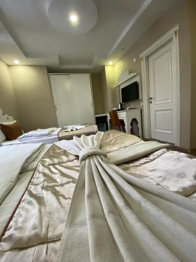 Hotel Kent Ani