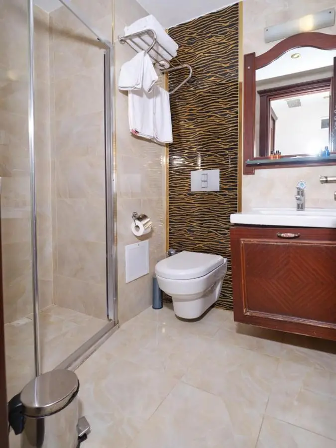 Istanbul Newcity Hotel
