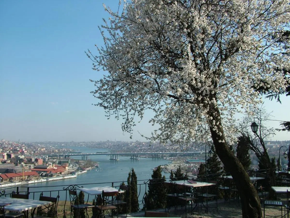 Turquhouse Hotel