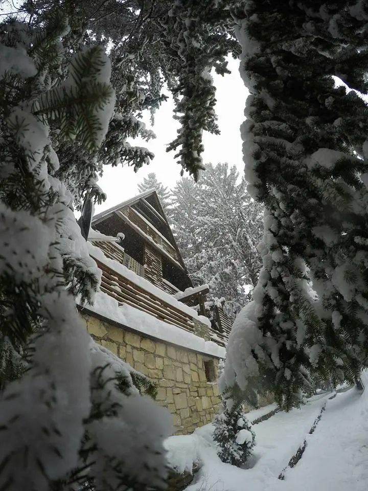Vlasic Cabin