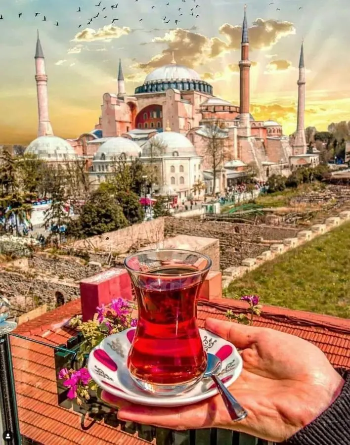 White Suites Hotel İstanbul