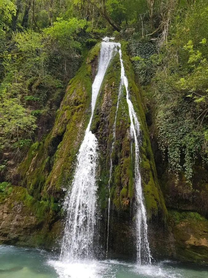 Canyon garden martvili