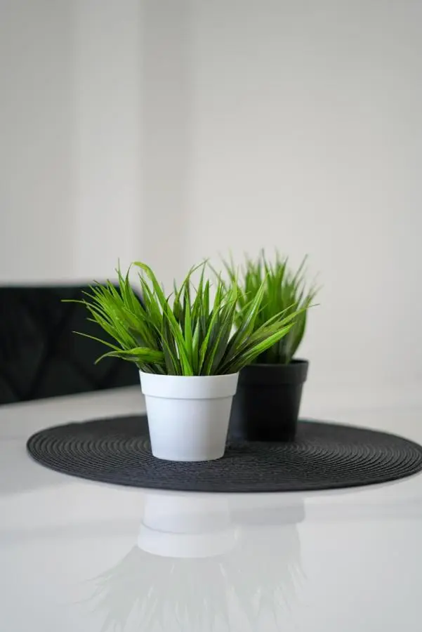 Apartman Amna