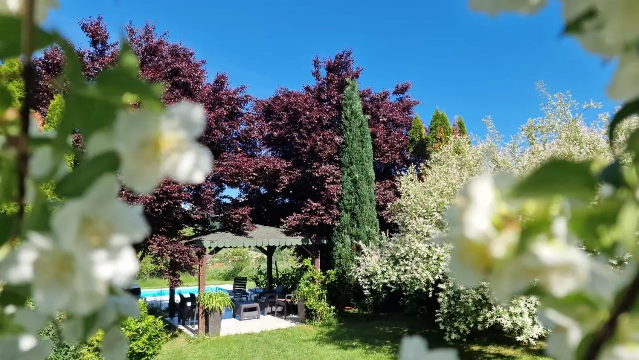 Residence Green Pool & SPA