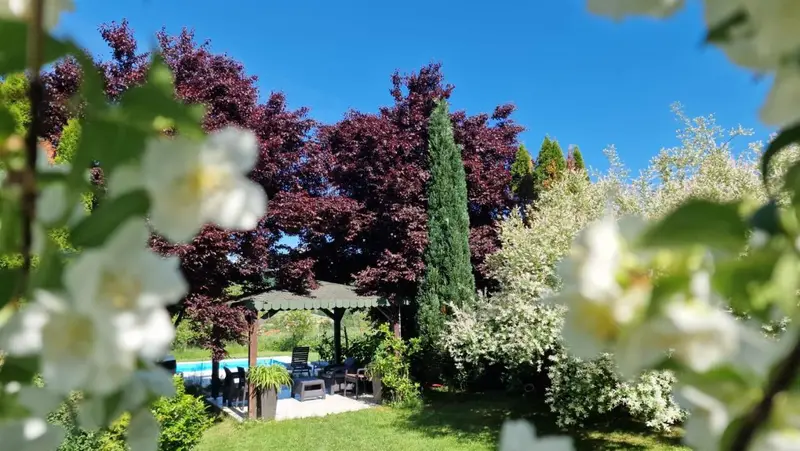 Residence Green Pool & SPA