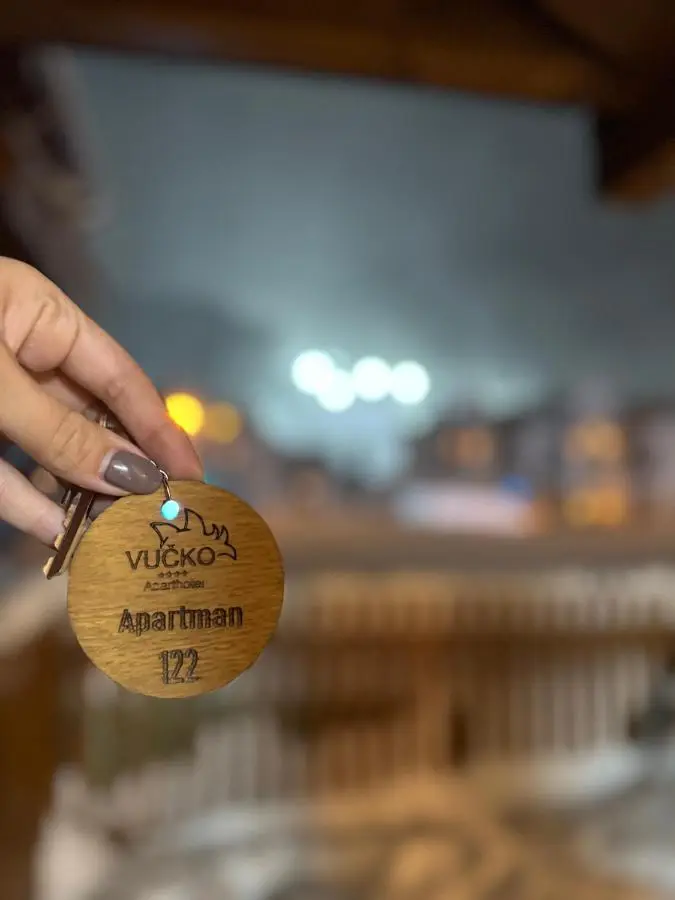Apartment 122 - Aparthotel Vučko Jahorina - private host
