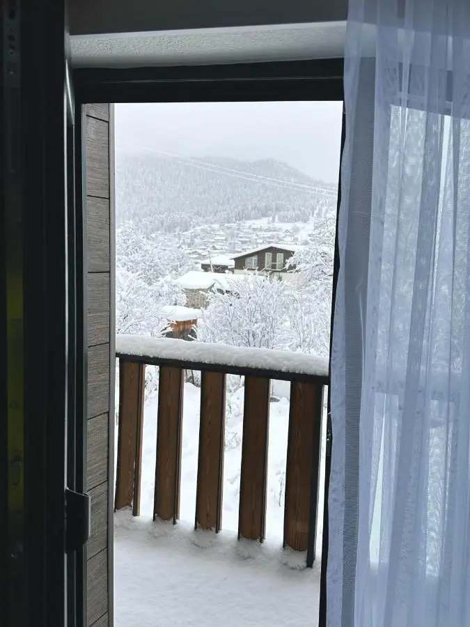 Bakuriani Cottages
