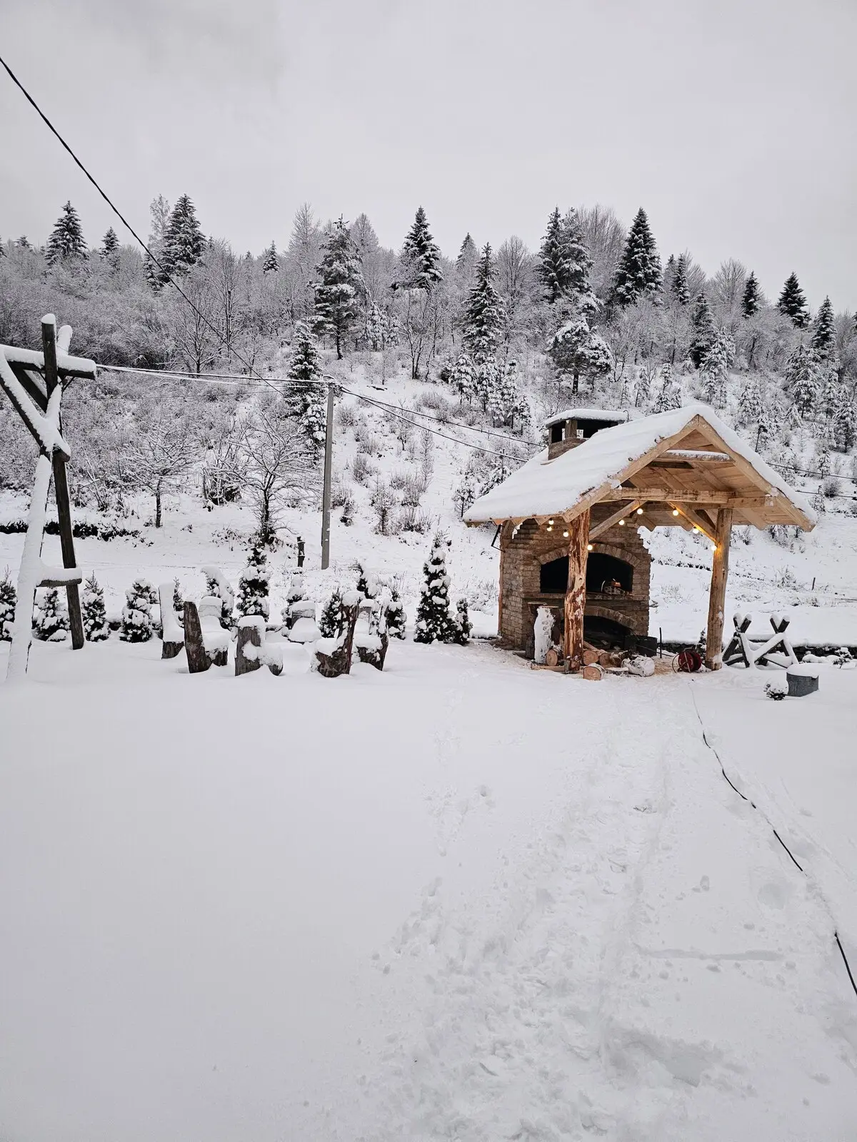 Mystery lodge