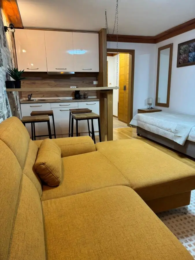 Apartment 122 - Aparthotel Vučko Jahorina - private host