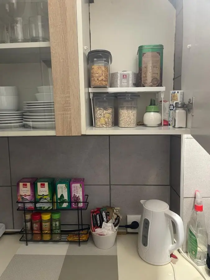 Apartment Romana