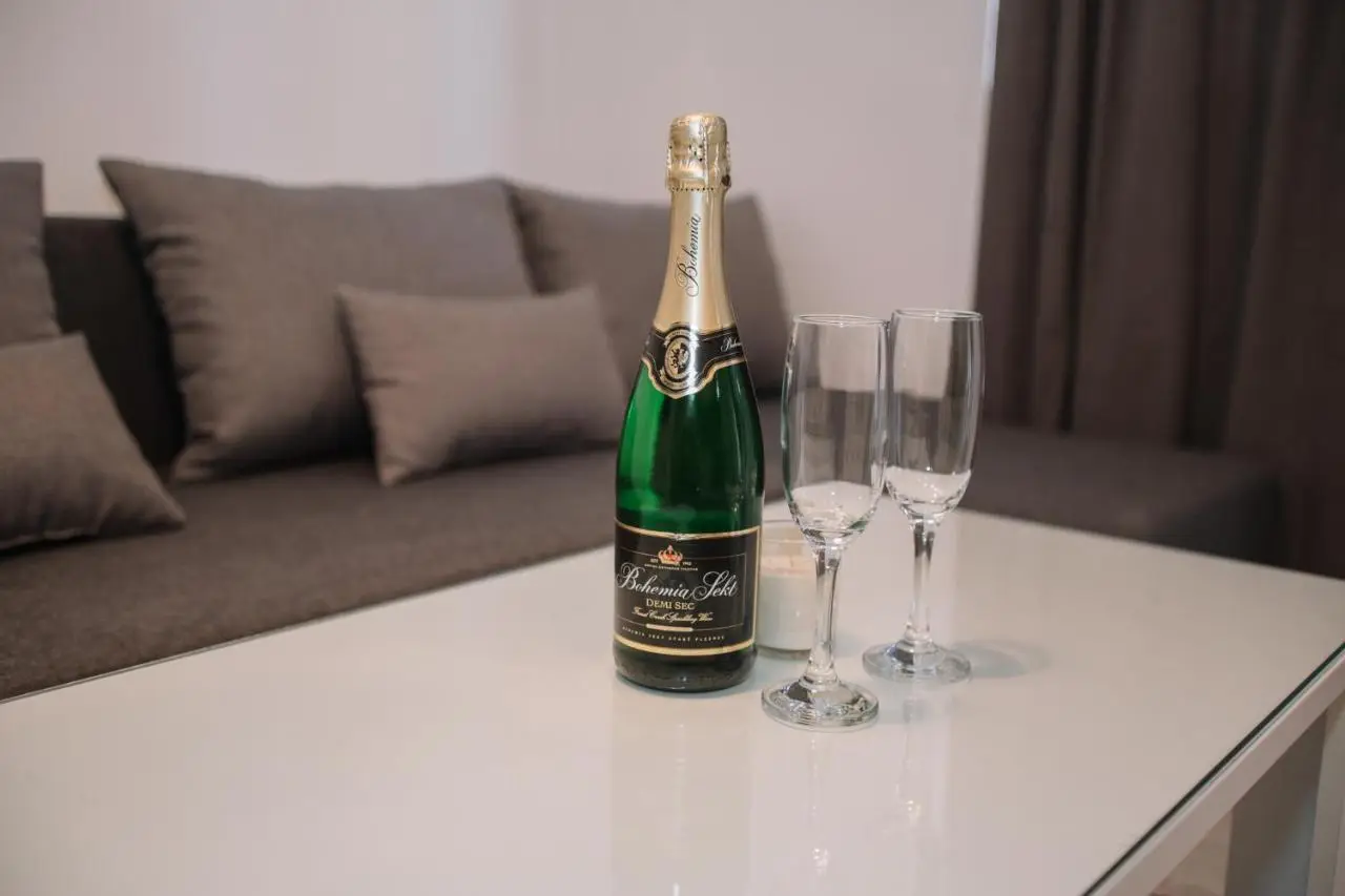 Luxury Apartment Crnjac