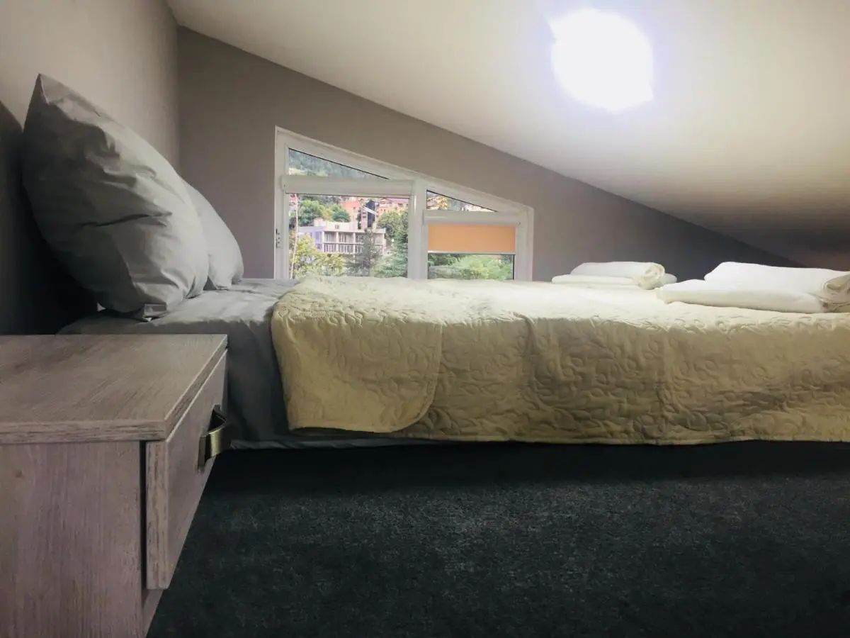 Diasamidzeebi apartment
