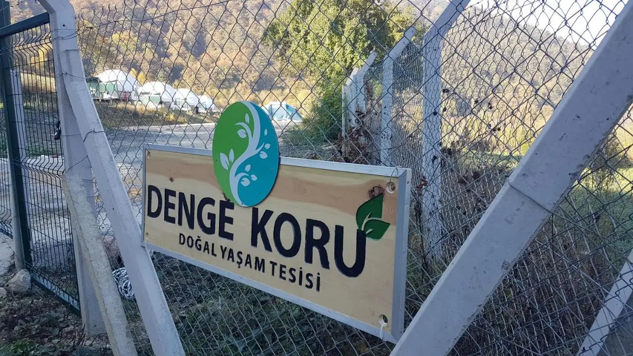 DENGEKORU Wildlife & Glamping