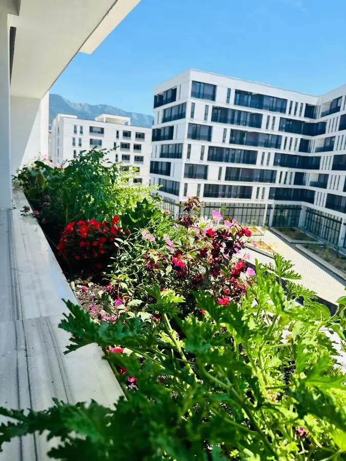 Family apartment