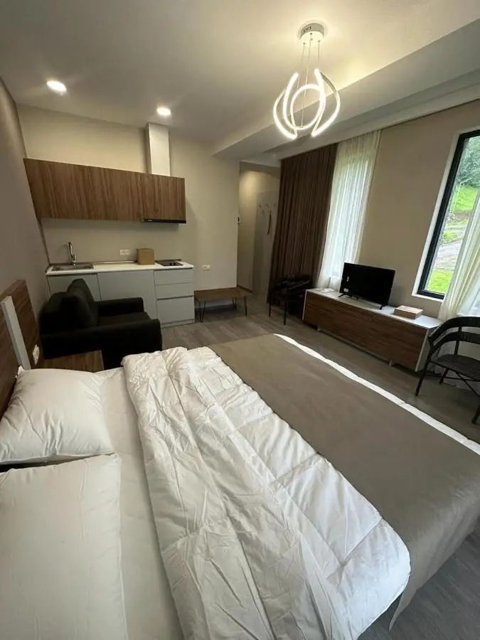Crystal Wood Bakuriani Apartment 401