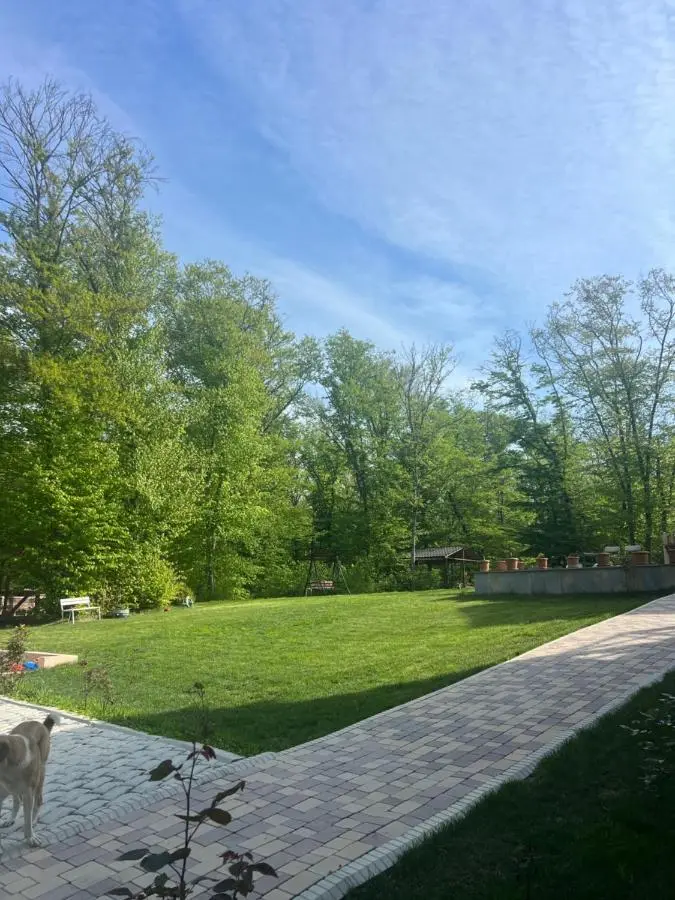 CHALET WOODS GUSAR