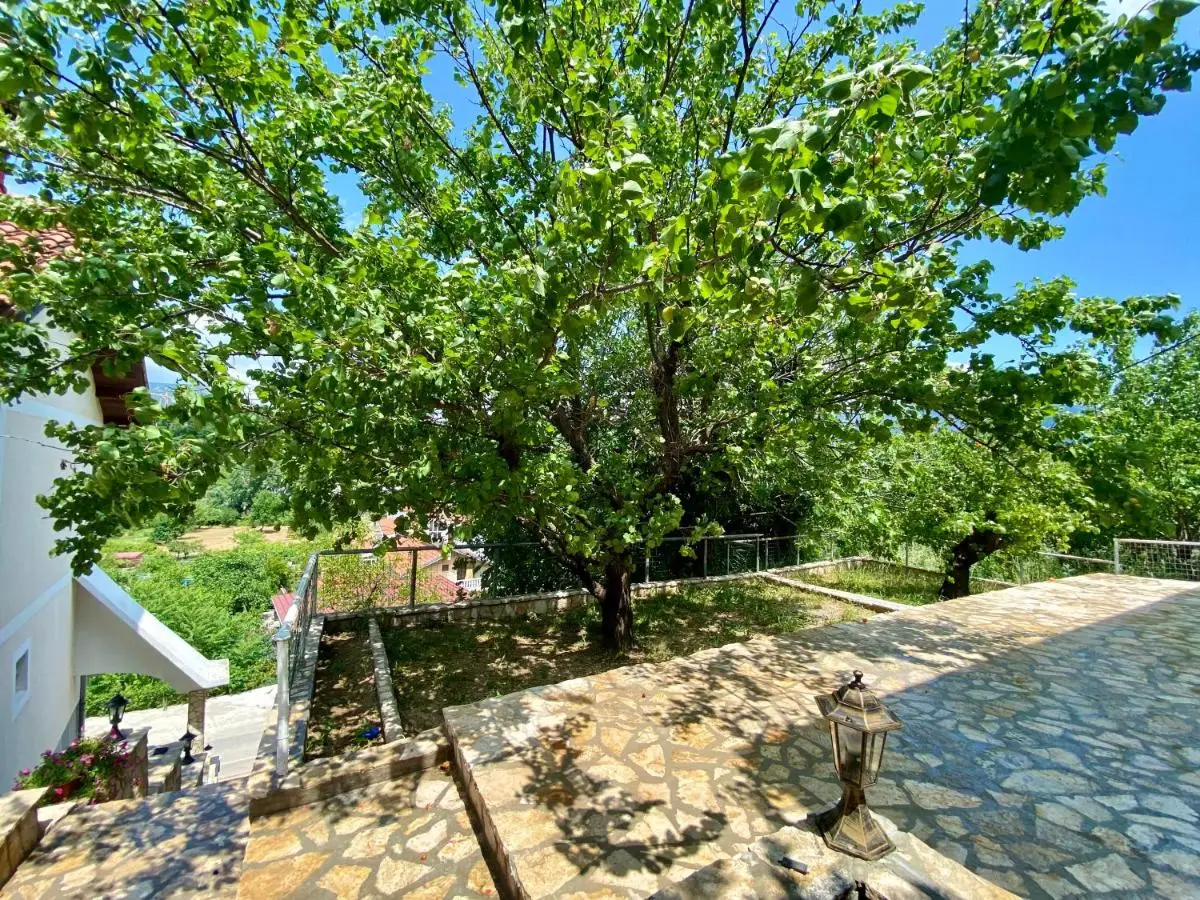 Guest House Ivano