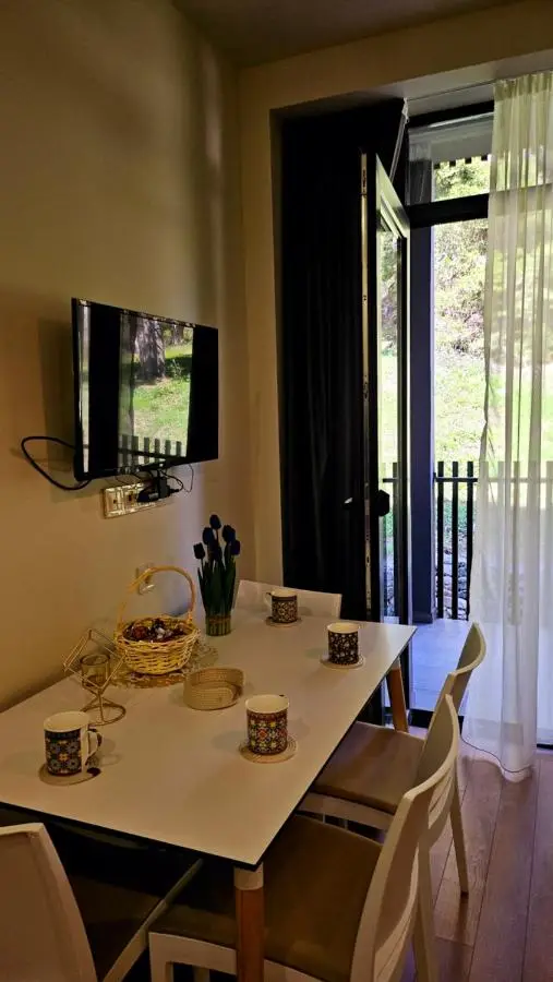 Arkhi Kokhta Bakuriani Apt 304