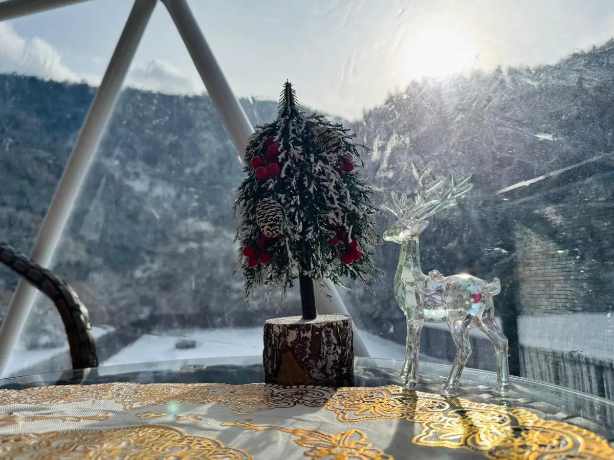 Buddy glamping Borjomi