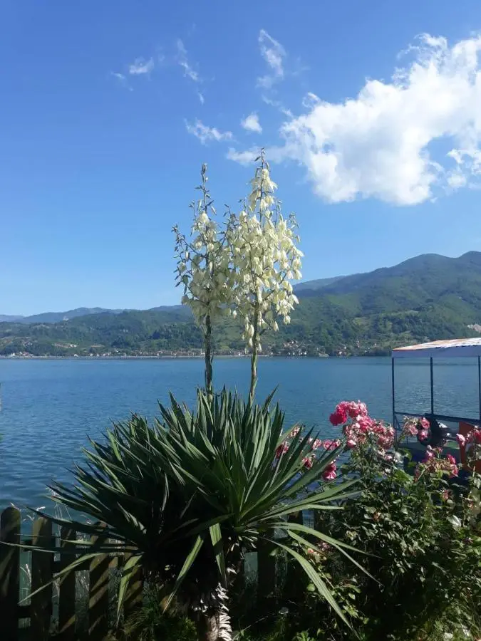 Lejla apartmani - Jablaničko jezero