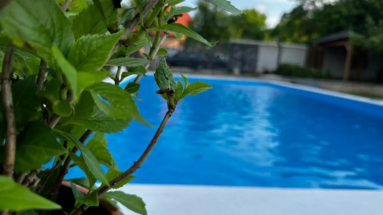 Villa Wood & Green SPA