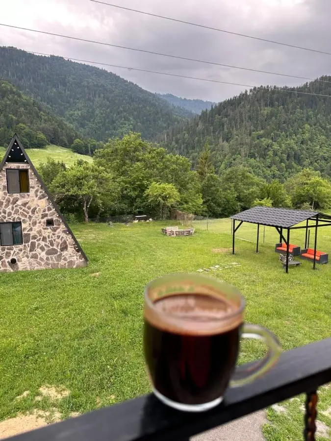 Hillside Borjomi Two chalet